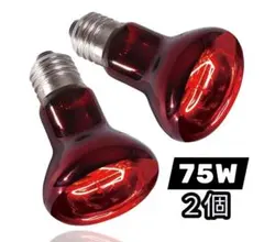 Item thumbnail for item c58b173f-ce34-4430-ac87-c2355092f2c5