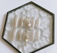 216 ネイルチップ　10枚 蝶　ムーンストーン　ヌーディーカラー　つけ爪　ラメ