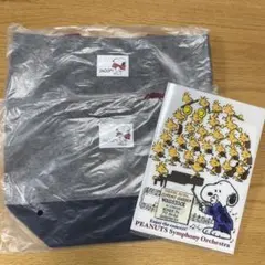 スヌーピー ランチバッグ クリアファイル タウン ショップ