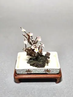 Item thumbnail for item e6ac82c1-af64-483c-b4e4-5707f32273ce