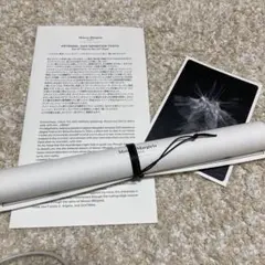 Item thumbnail for item 369be9fa-6c76-4494-a35d-c37e567c939b