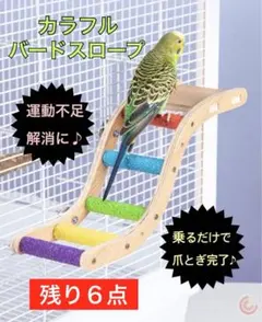 再入荷　カラフル　はしご　サンドパーチ　爪とぎ　運動　ゲージ　鳥 　インコ木製のサムネイル