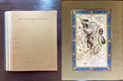 Item thumbnail for item aaca288a-e0a4-4531-bc4d-3742bd916476