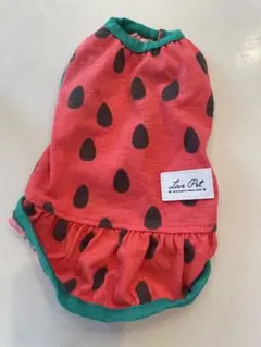 スイカ犬用服
