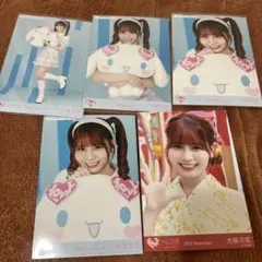 イコラブ 大場花菜 生写真 シナモン コンプ 内緒バナシ セット