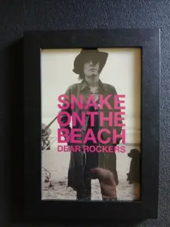 チバユウスケ SN AKE ON THE BEACH スネイク DEAR - メルカリ