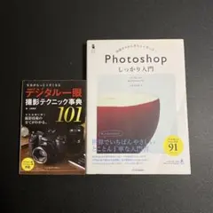 Item thumbnail for item c7e82e71-c002-4ba4-9127-13fca6a8fc0a