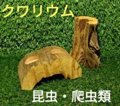 Item thumbnail for item a6333e78-8849-4744-8ed0-d676c3f37626