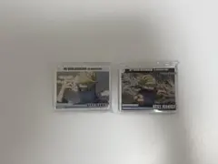 ベストジーニスト コロッタ アニカフェ