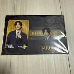 Snow Man 目黒蓮 コレクションカードセット 新品 未開封