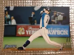 大谷翔平 2015 ハイライトフォト No.233 日本ハム 球団公式写真