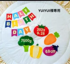 ⑲【YUIYUI様専用】ハーフバースデー装飾品