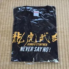 西武ライオンズ [ミズノ]オーセンティックロゴTシャツ Mサイズ - メルカリ