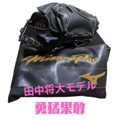 2026年最新】Mizuno Pro グローブの人気アイテム - メルカリ
