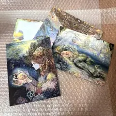 バースデーカード