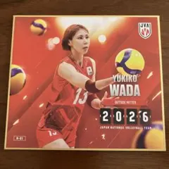 岩澤実育選手 バレーボール 日本代表 2026 トレーディングmini色紙