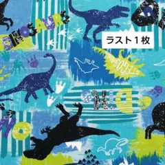 Item thumbnail for item 0abb422e-4f59-47e8-a9d1-8c7c66fc33e1