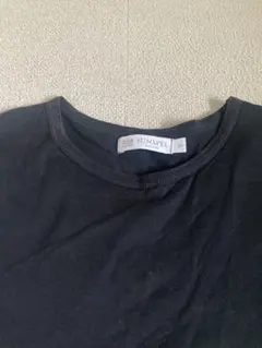 SUNSPEL 100%コットン Tシャツ Mサイズのサムネイル