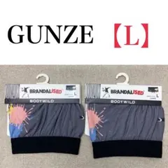 ★新品★ GUNZE BODYWILD ボクサーパンツ　Lサイズ　2点セット