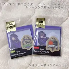 【送料無料】ツイステッドワンダーランド 付箋セット 2種 リドル マレウス