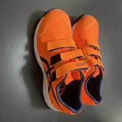 未使用品■ASICS WINJOB CP112 安全靴 26.0cm■