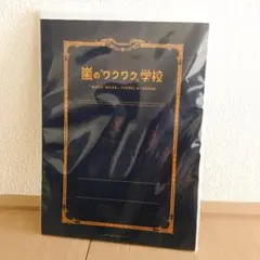 嵐 ワクワク学校2013 A4判レポート用紙 下敷き付き