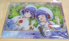 希少】 リズと青い鳥 アニメイト購入特典 クリアファイル みぞれ 希美