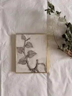 アンティーク 押し花標本 Herbier Paul Gerard - メルカリ