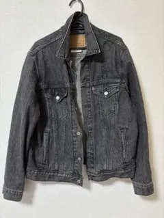2026年最新】Levi
