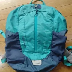 THE NORTH FACE TELLIS 20 リュックターコイズ