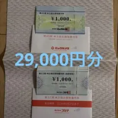 ビックカメラ・コジマ株主優待　 29000円分