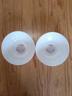 ヤマザキ春のパン祭りパンまつりのお皿2025年白いデリシャスボウル2枚