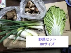 新鮮な野菜セット（白菜、青ネギ、大根、きのこ、里芋、山芋）