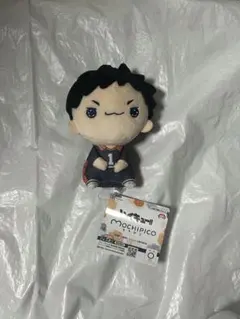 新品未使用 澤村大地 ハイキュー‼︎ もちぴこぬいぐるみ⑤２