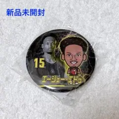 【新品未開封】群馬クレインサンダーズ エージェー・エドゥ 缶バッジ