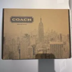 【極美品/箱付き】COACH コーチ 厚底スニーカー ホワイト 24.0cmのサムネイル