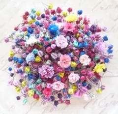 biidoro.0708様 リクエスト 2点 まとめ商品