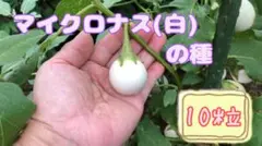 農家一筋様 リクエスト 2点 まとめ商品