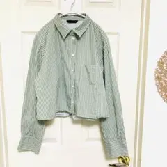 ZARA グリーン ストライプ クロップドシャツLサイズ