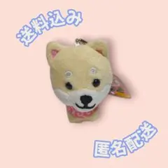 Item thumbnail for item a93e6659-5273-4ac0-bacc-97e269aab665