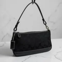 コーチ ワンショルダー ハンドバッグ アクセサリーポーチ シグネチャー 黒系 COACH シグネチャー ワンショルダー アクセサリーポーチ - メルカリ