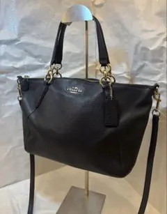 極美品✨ コーチ ハンドバッグ ショルダーバッグ 2WAY 斜め掛け