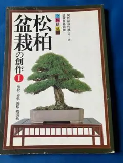 2026年最新】錦松盆栽の人気アイテム - メルカリ