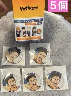 ハイキュー POINT GET！！ 缶バッジ 澤村大地 セット5個セット