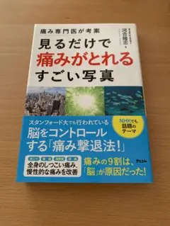 痛み専門医が考案 見るだけで痛みがとれるすごい写真