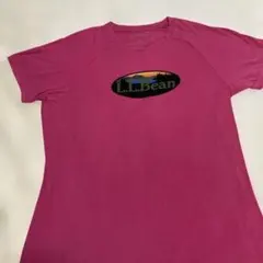 L.L.Bean グラフィックTシャツ ピンク Sサイズ☆身幅約42着丈約58‼️のサムネイル