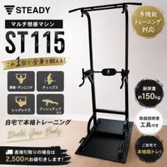 STEADY ST115 マルチ懸垂マシンぶら下がり健康器 チンニングスタンド⑧