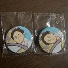 2026年最新】ハイキュー!!/キャラクター名：日向翔陽 ピンズ