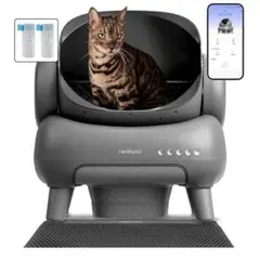 Item thumbnail for item 570ed2a6-d8d7-4781-a933-0f723b85547d