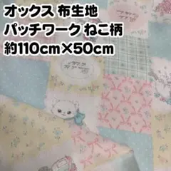 Item thumbnail for item 1bfbb015-fa9a-4b5e-b0f0-180ba0e40c55